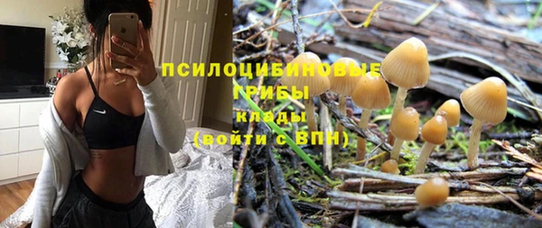 спиды Абаза