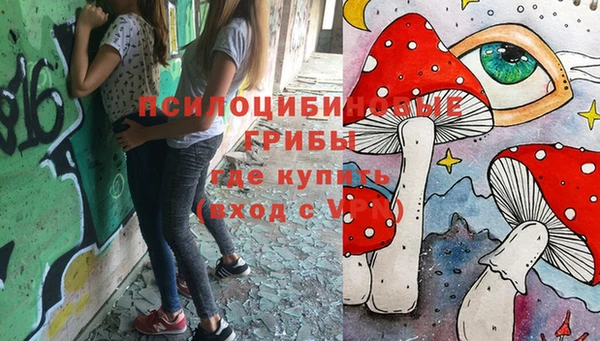 спиды Абаза