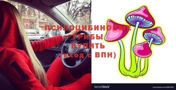 spice Переславль-Залесский