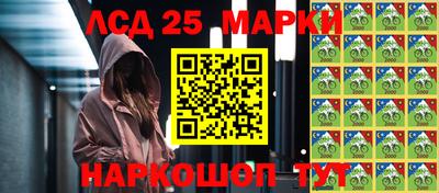 шишки Аргун