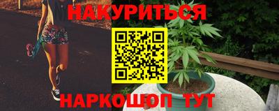 прущие грибы Беслан