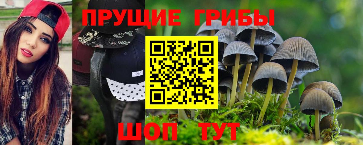 Галлюциногенные грибы Cubensis  Великие Луки 