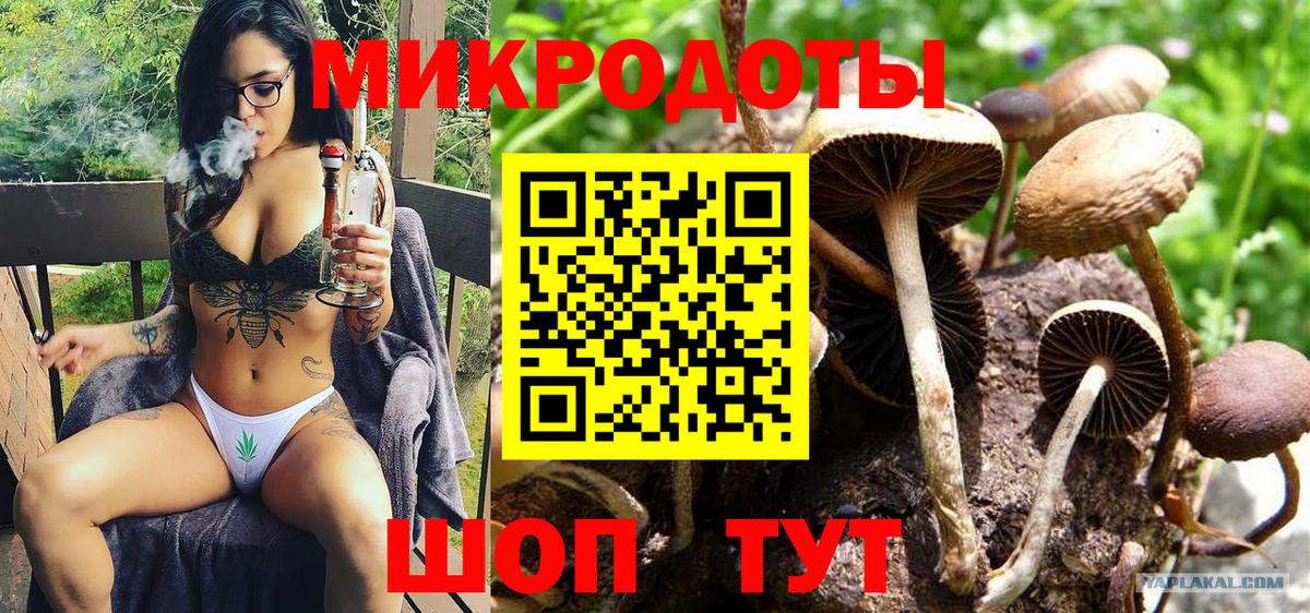Псилоцибиновые грибы Magic Shrooms Великие Луки
